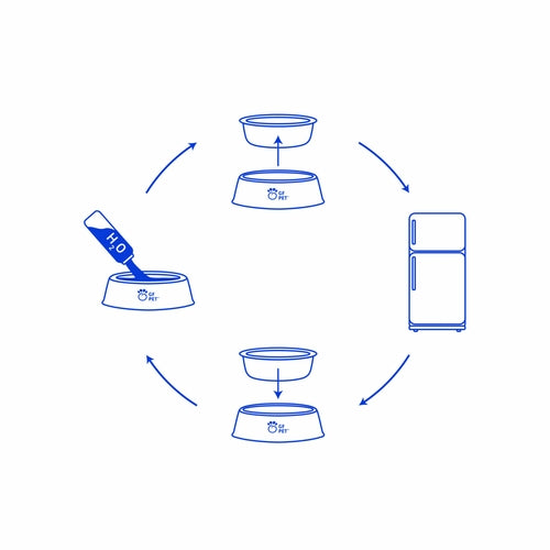Modern Cooling Water Bowl
